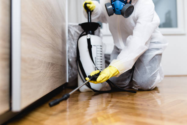 Professional Pest Control in Munhall, PA