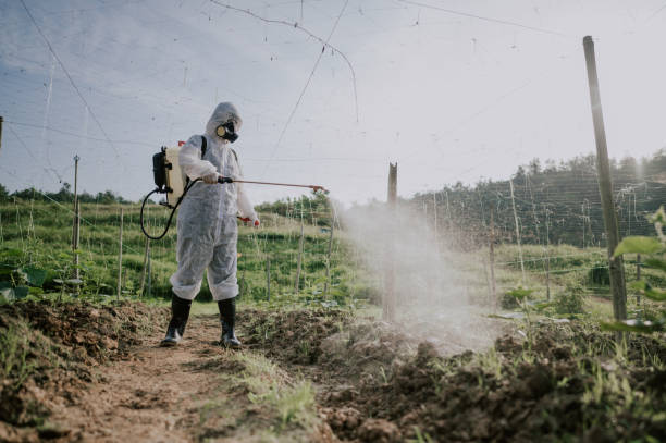 Best Affordable Pest Control Services  in Munhall, PA