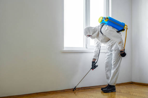 Flea Control Services in Munhall, PA