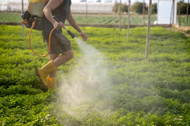 Best Pest Control for Businesses  in Munhall, PA