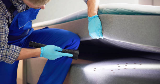 Best Pest Control Near Me in Munhall, PA