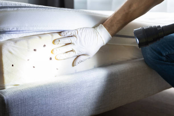 Best Cockroach Control Services  in Munhall, PA