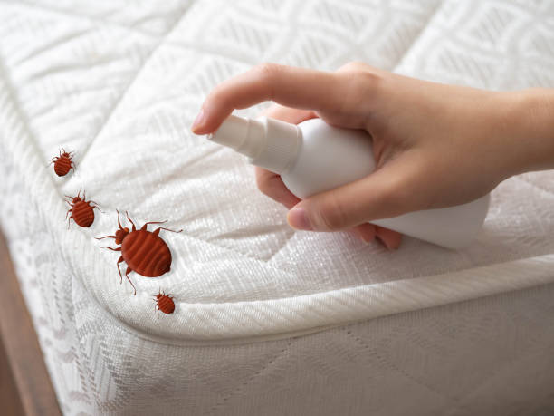 Best Affordable Pest Control Services  in Munhall, PA
