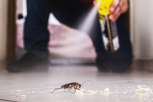 Best Residential Pest Control  in Munhall, PA