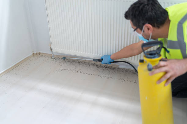 Best Ant Control Services  in Munhall, PA